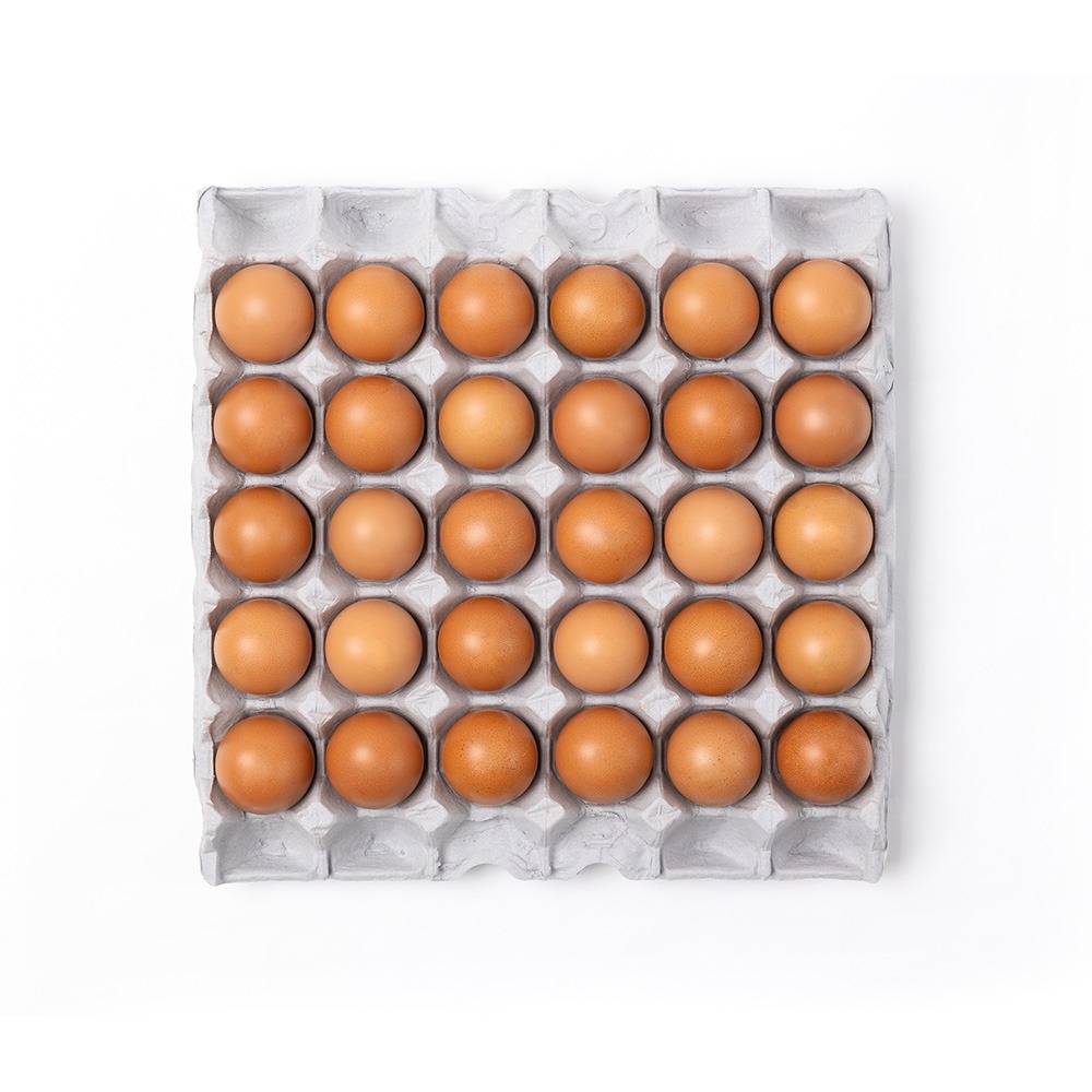 [해보농장]  계란 30구 / 60구 특란