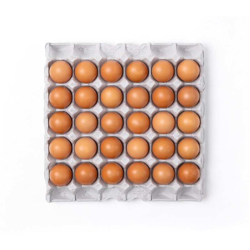 [해보농장]  계란 30구 / 60구 특란